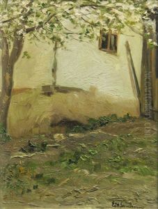 The Yard Behind The House