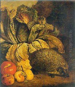 A Hedgehog, A Cabbage And Apples At The Foot Of A Tree
