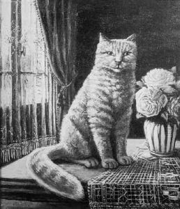 Chat Dans Un Interieur by Aloys Sauter