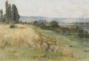 Sommerliche Flusslandschaft Sommerliche Flusslandschaft