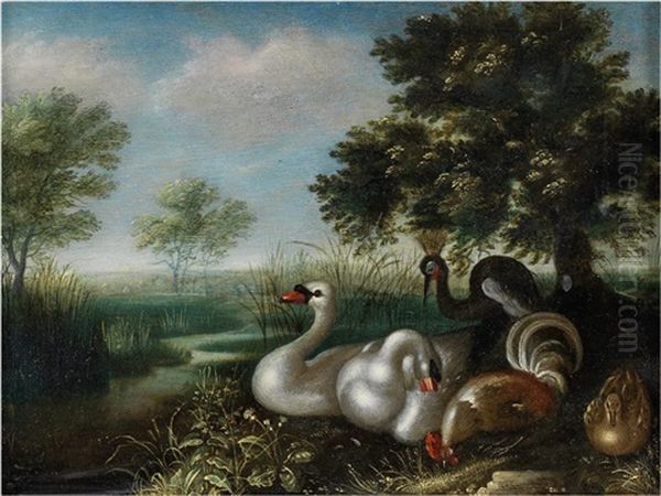 Cygnes, Poule, Canard Et Grue En Bordure De Riviere - view 1