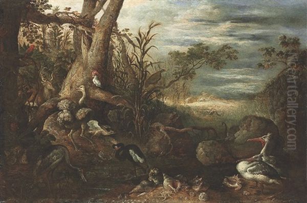 Pelicans, An Ostrich, Parrots, A Stag And Other Animals And Shells In A Wooded Landscape - view 1