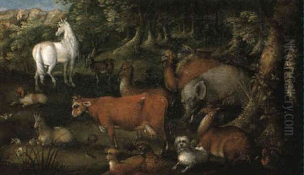Animals In A Forest Clearing - view 1