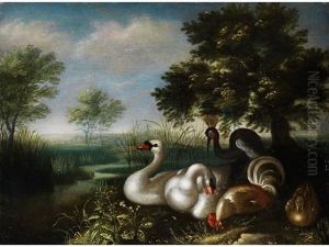 Federvieh In Weiter Baumlandschaft