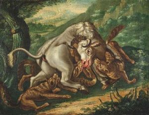 Wolfe, Einen Stier Angreifend