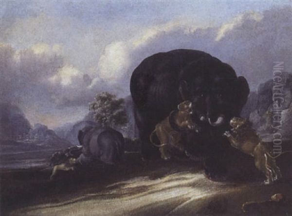 Lion Attaquant Des Elephants - view 1