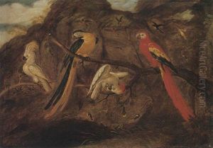 A Scarlet And Blue And Gold Macaw With Sulphur-crested Cockatoos And Other Birds, In A Landscape by Roelandt Savery