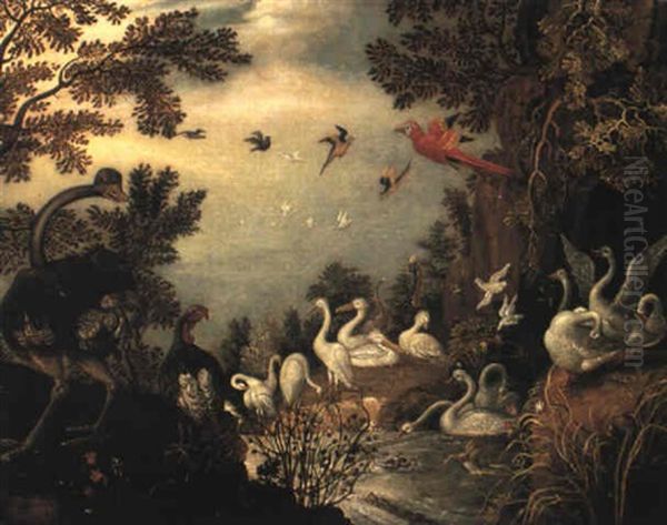 Ostrich, Turkey, Swans, Herrons And Parrots By A River - view 1