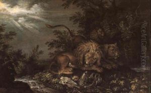 Trois Lions Dans Un Sous-bois Pres D'un Ruisseau Trois Lions Dans Un Sous-bois Pres D'un Ruisseau