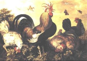 Hens And A Cockerel Foraging Through The Undergrowth