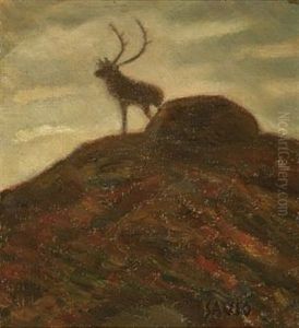 Reinbukk I Fjellet by John Savio