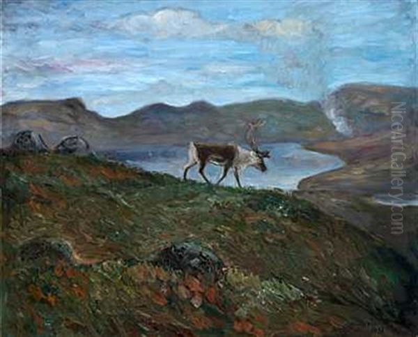 Rein I Hoyfjellet - view 1
