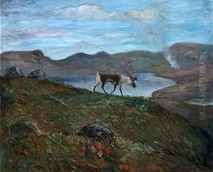 Rein I Hoyfjellet
