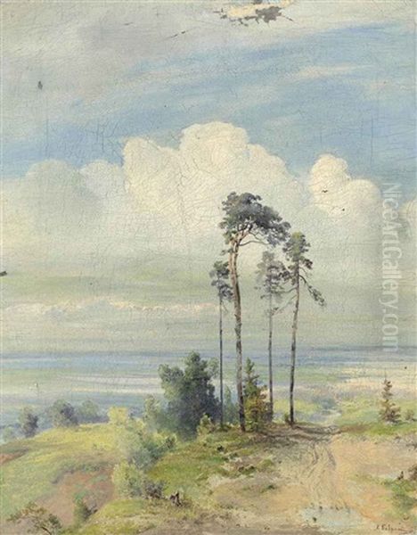 Summer - view 1