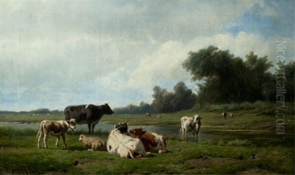Livestock In A Sunny Pasture - view 1