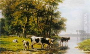 Watering Cows Watering Cows