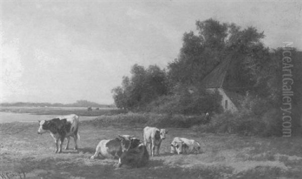 Cows Grazing In A Summer Meadow - view 1