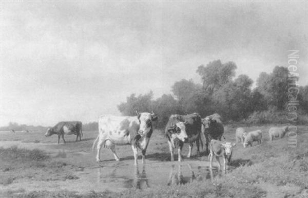 A Quiet Pasture - view 1