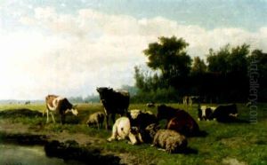Cows And Sheep Resting By Water Cows And Sheep Resting By Water