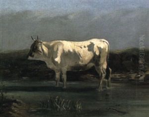A Bull Standing In A Stream by Hendrik Savry