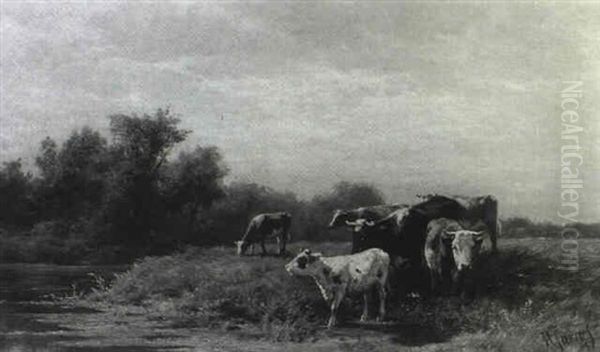 Cows Watering - view 1