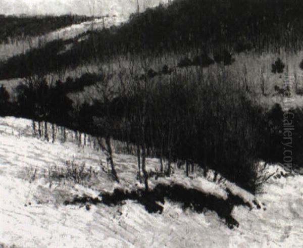 Winter Landscape - view 1