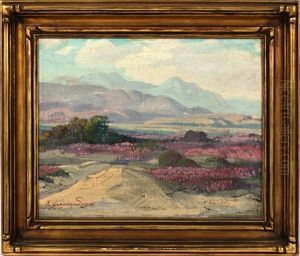 Desert Sand Verbena