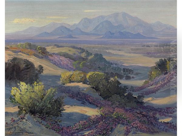 Desert Flowers - view 1