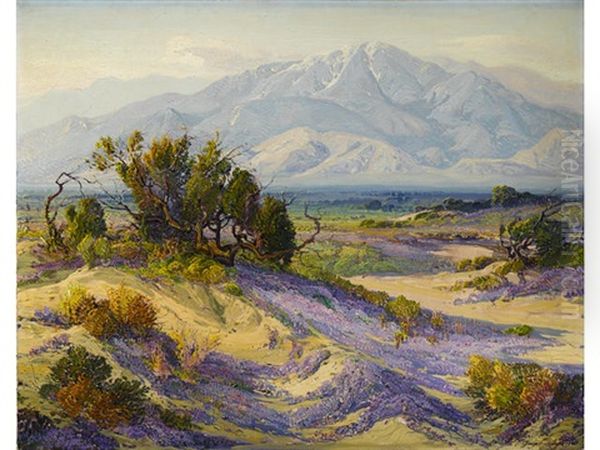 Purple Splendor - view 1