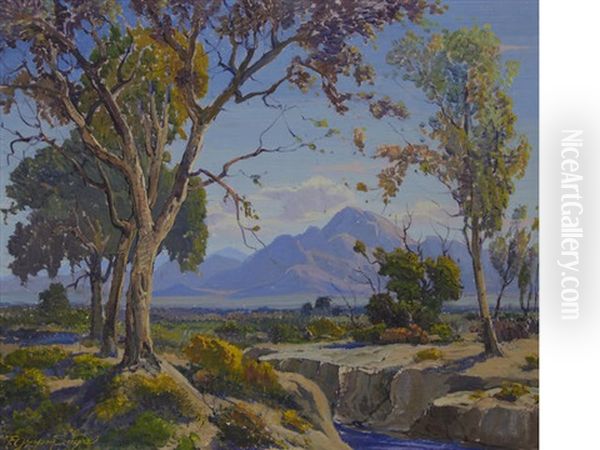 The Desert In Bloom - view 1