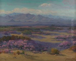 Desert Verbena