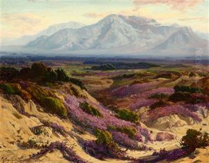 Blooming Verbena In The Desert And Mt. San Jacinto