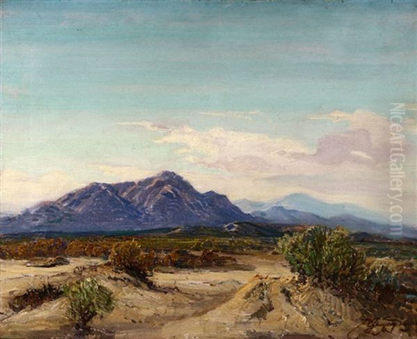 Coachella Valley - view 1