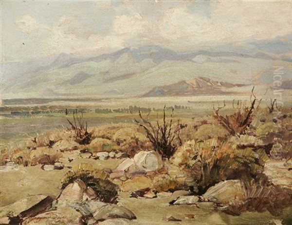Desert Near Indio - view 1