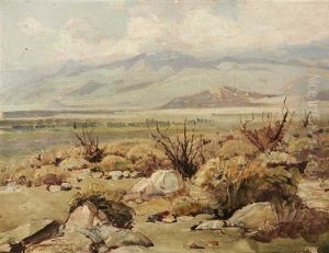 Desert Near Indio