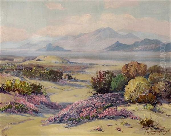 Desert Verbena - view 1