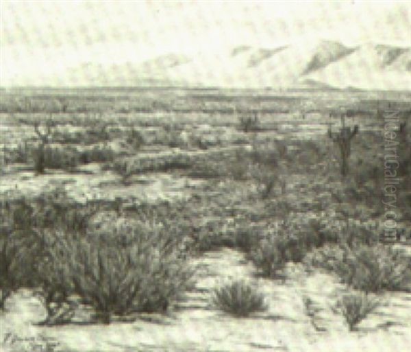 Mohave Desert - view 1