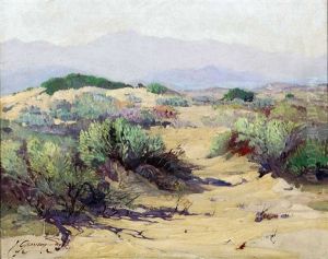 Landscape Landscape