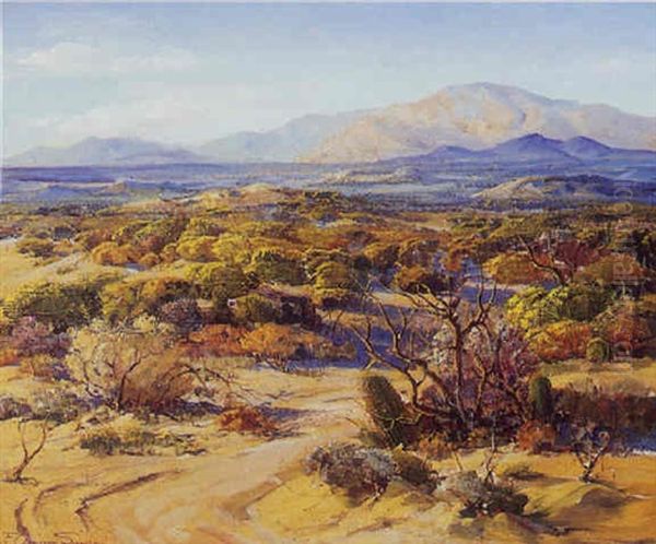 The Coachella Valley - view 1
