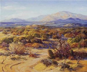 The Coachella Valley