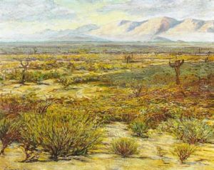 Mohave Desert