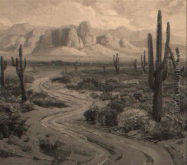 Sonoran Desert Road - view 1