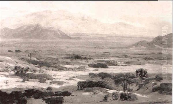 Arizona Landscape - view 1