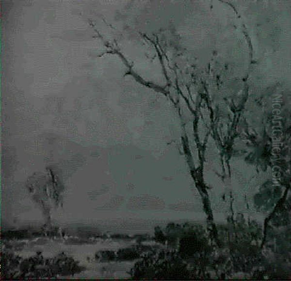California Landscape - view 1
