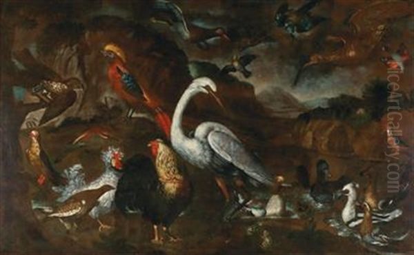 Native And Exotic Birds From The Aviaries Of Grand Duke Cosimo Iii Of Tuscany - view 1