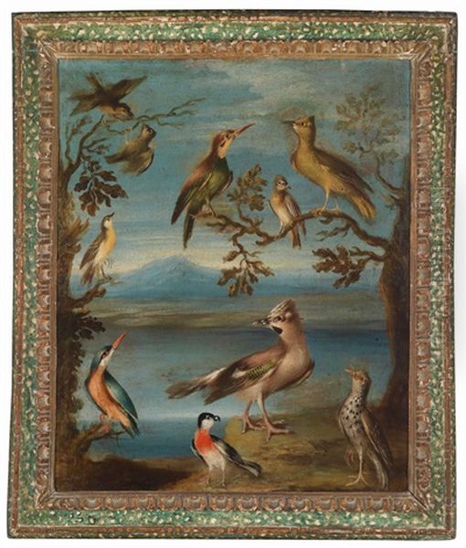 Eine Teichlandschaft Mit Vogeln - view 1