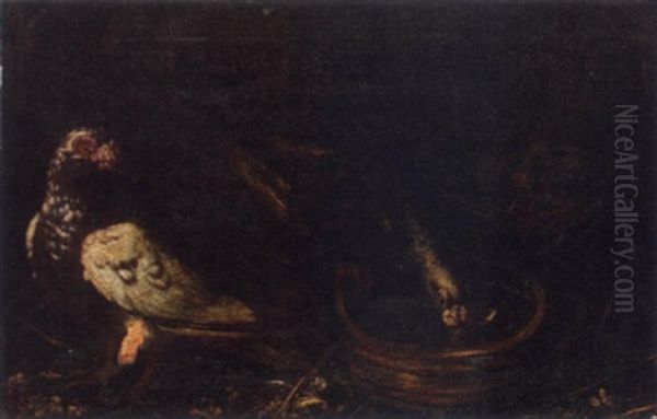 Pigeons At A Water Bowl With Squabs In A Nest - view 1