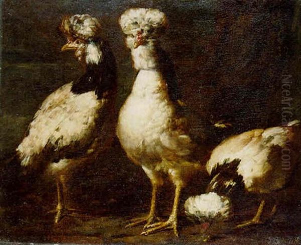 Three Crested Fowl - view 1