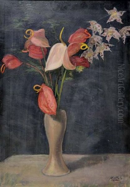 Fiori - view 1
