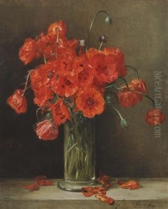 Corn Poppy In Glass Vase Corn Poppy In Glass Vase